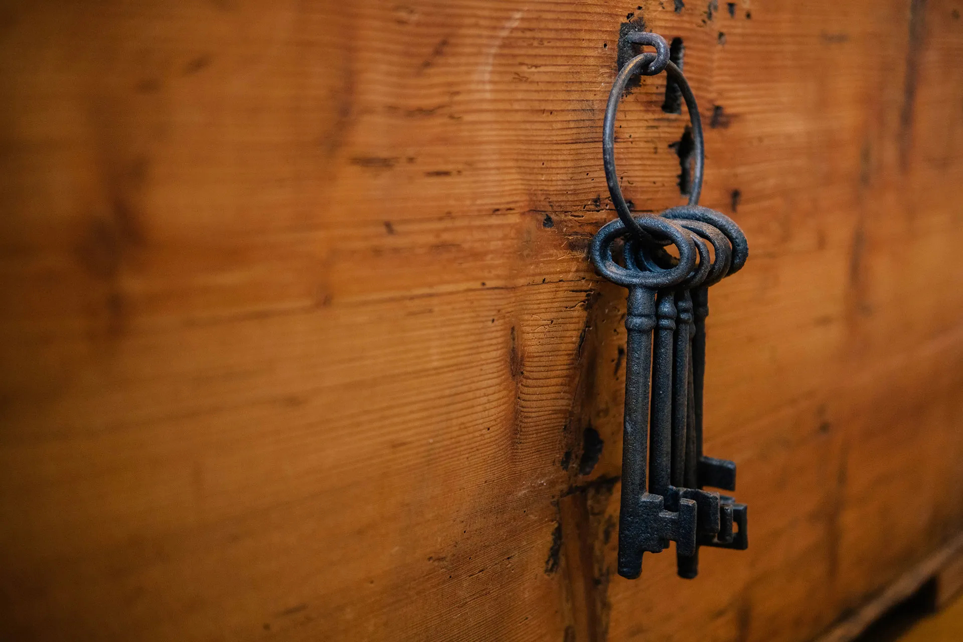 Meadow Woods bail bonds